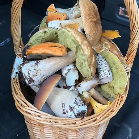 Apartament Rauhan Marinella Village Imatra