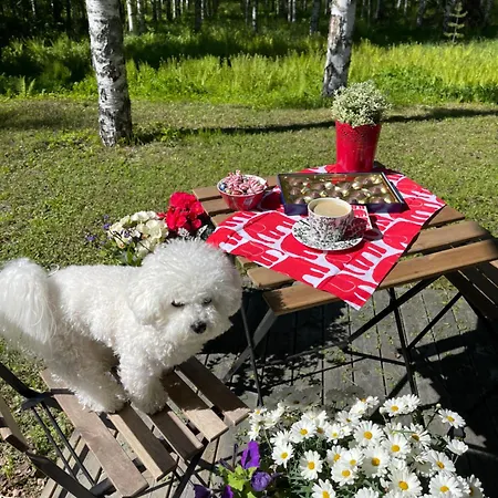 Rauhan Marinella Village Apartment Imatra