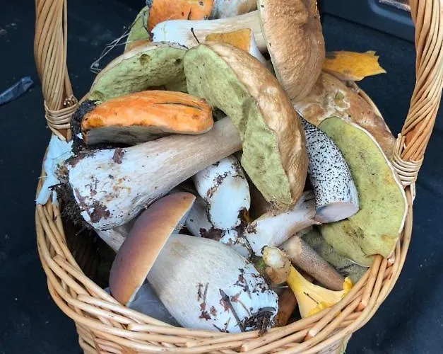 Appartement Rauhan Marinella Village Imatra