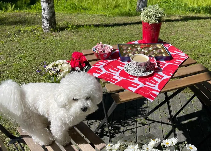 Rauhan Marinella Village Appartement Imatra